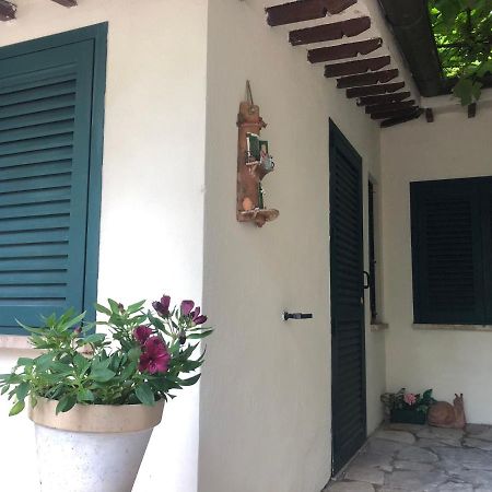 B&B Uva Fragola Перуджа Екстер'єр фото