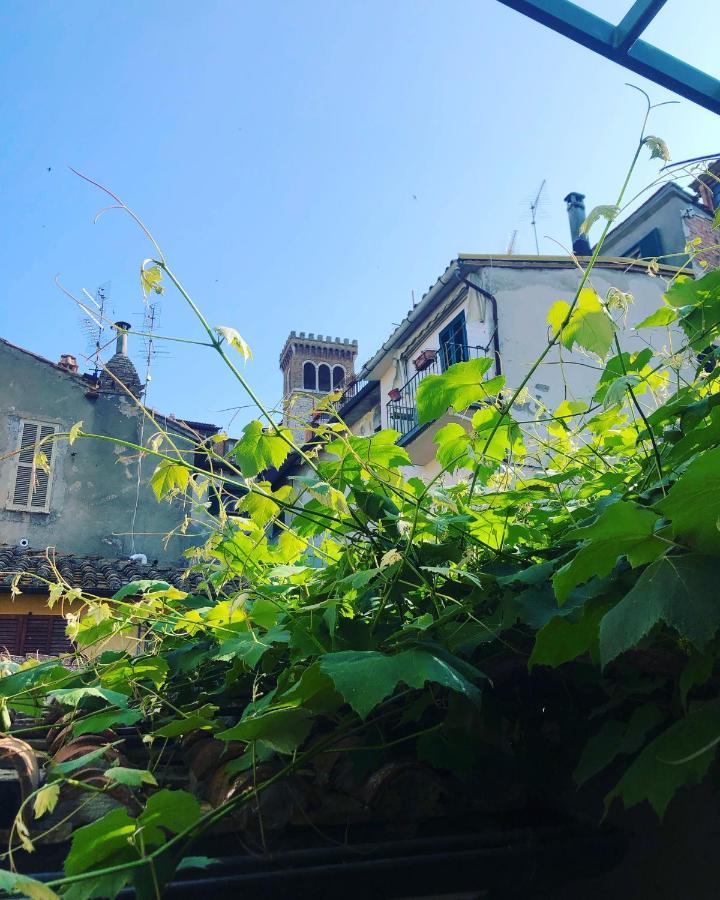 B&B Uva Fragola Перуджа Екстер'єр фото